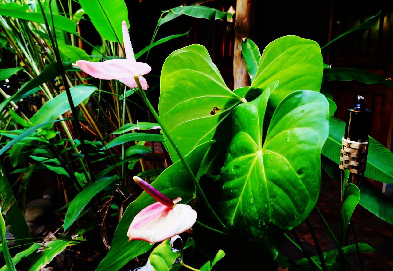 Punta Duarte Garden Inn Los Duarte エクステリア 写真