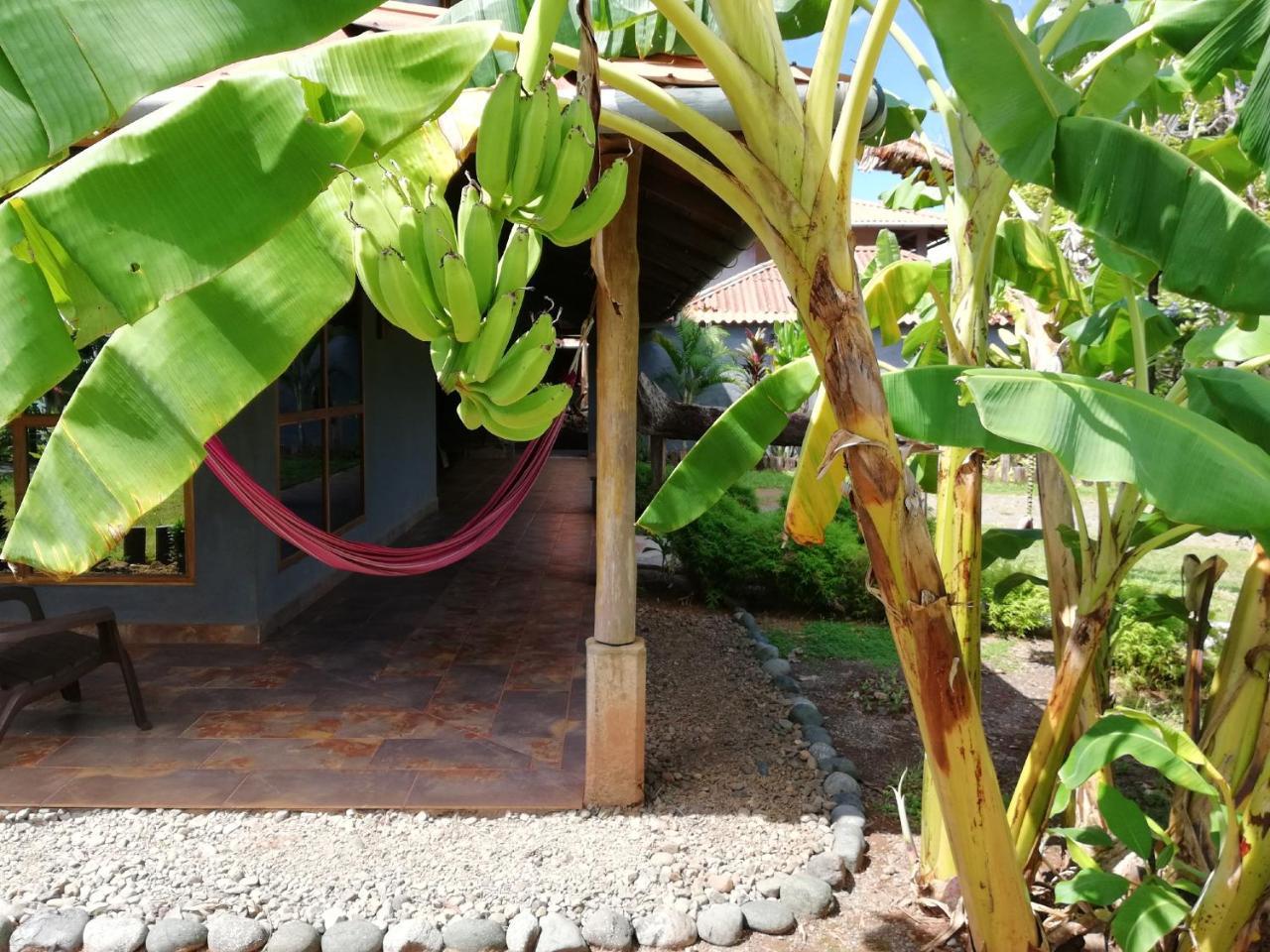 Punta Duarte Garden Inn Los Duarte エクステリア 写真